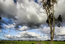 鲸鱼体育:我国体育界的四大美女,个个实力不俗、颜值超群,气质不输女明星.