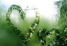 鲸鱼体育：[英超]旧将的“报恩” 诺丁汉森林主场擒曼城.