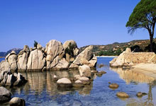 鲸鱼体育：68场445记ACE！郑钦文当选年度ACE女王九派新闻.